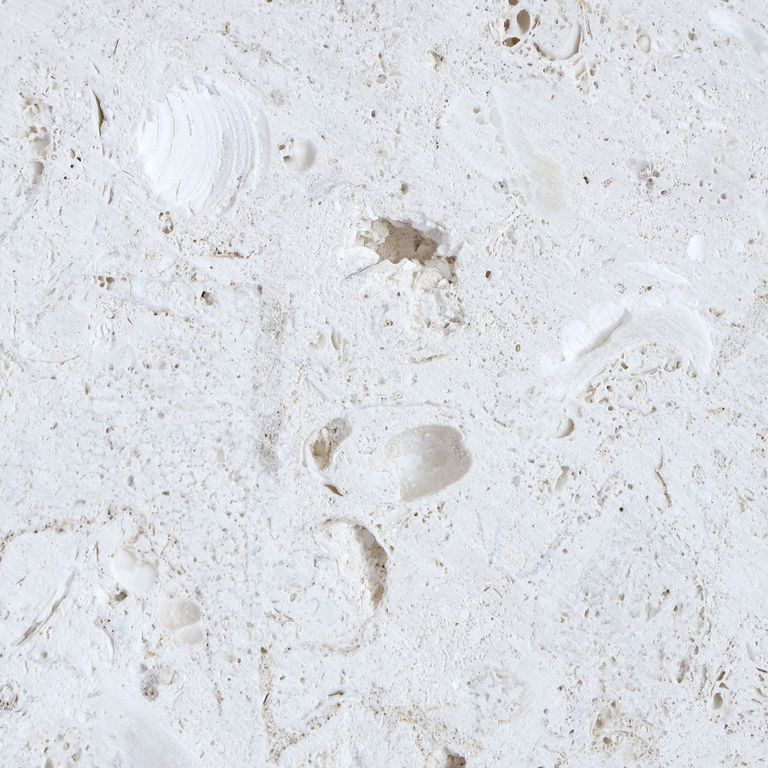 White Coral Limestone | Stone Curators