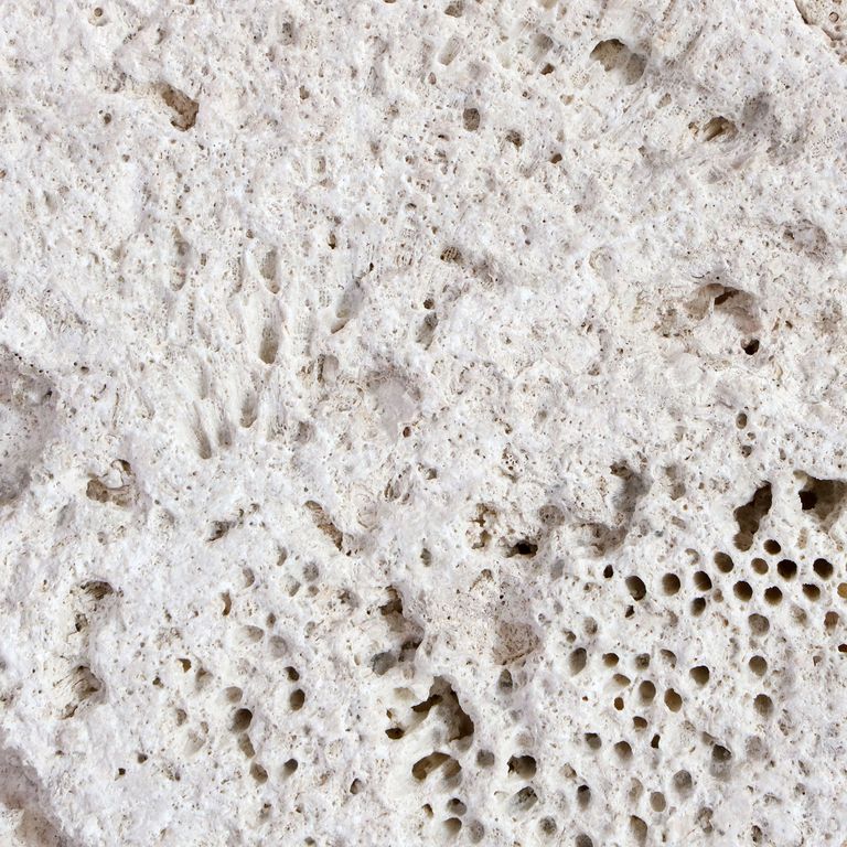 Feature image for White Coral. The surface finish shown is sand blasted. The dominant color shown is gray. The color mix creates a warm feeling. Cloudy color pattern. Contains voids and mineral inclusions.