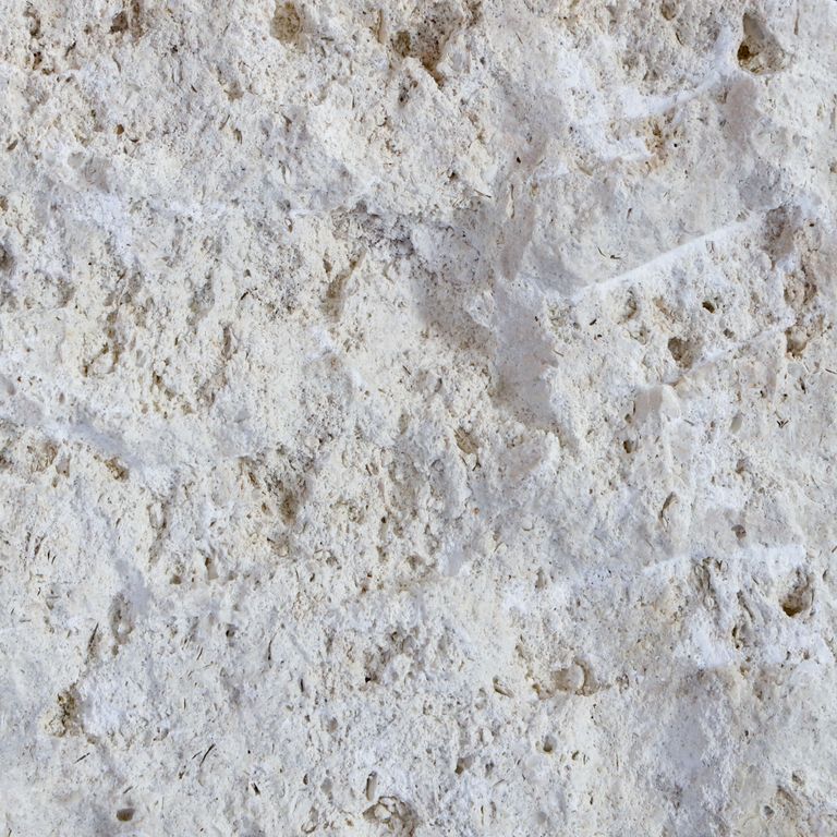 Classic Coral Stone Limestone