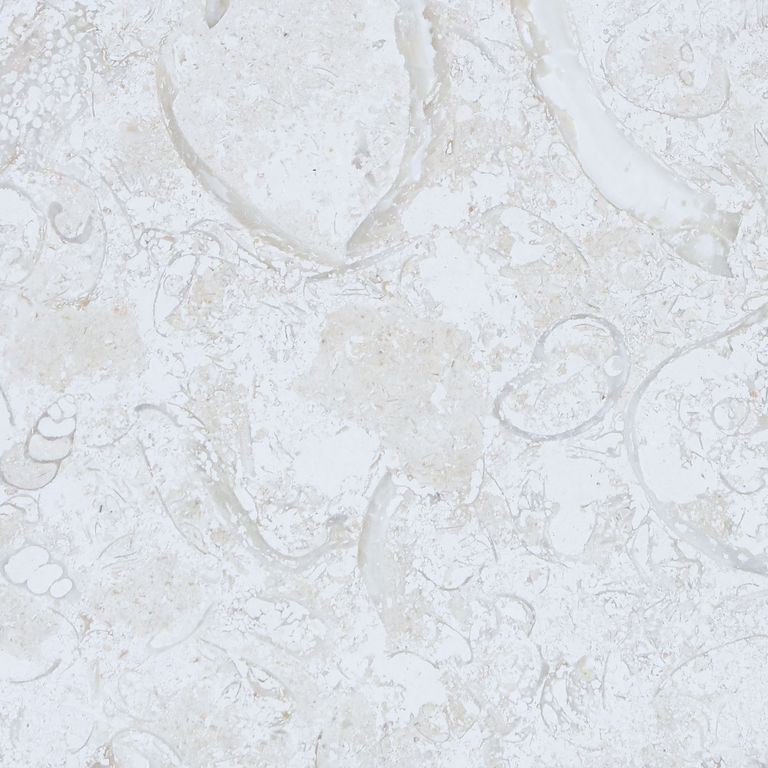 Color/Finish variation image for Limestone - White Shell Stone. The surface finish shown is . The dominant color shown is white. The color mix creates a cool feeling. Swirled and blotched color patterns.