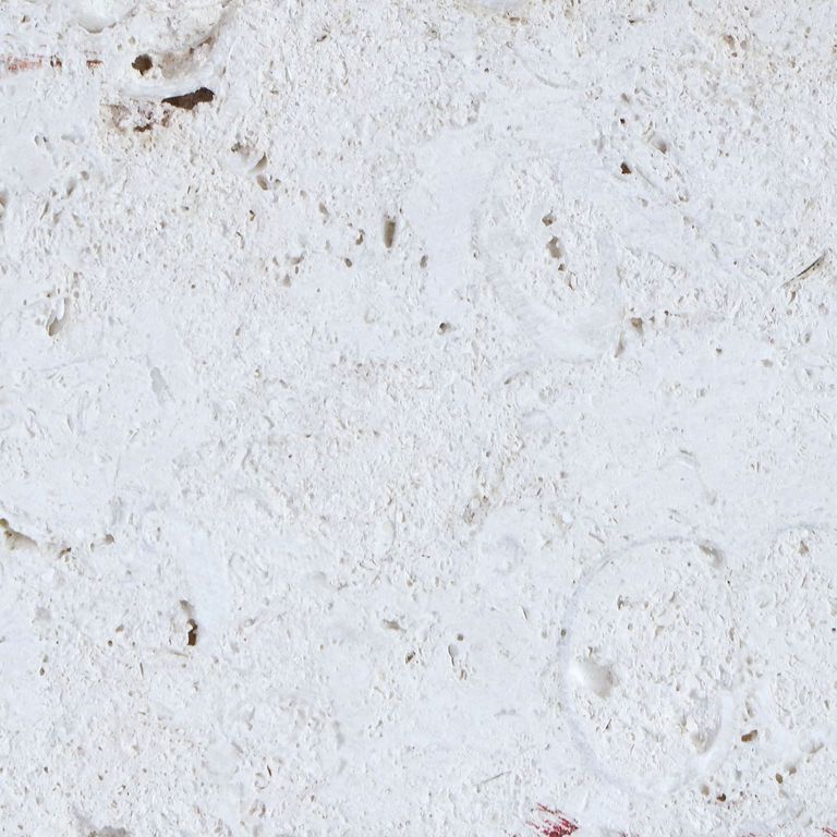 Feature image for Limestone - White Shell Stone. The surface finish shown is sawn. The dominant color shown is white. Regular color pattern. Contains voids and mineral inclusions.
