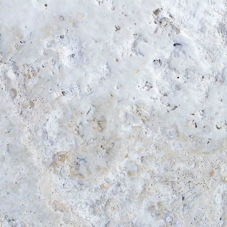 Feature image for Golden Coral Stone. The surface finish shown is brushed. Dominant colors shown are gray and white. The color mix creates a warm feeling. Random color pattern. Contains voids and mineral inclusions.