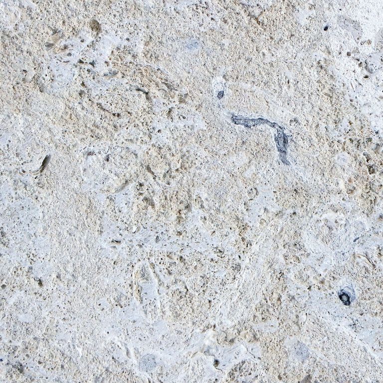 Golden Coral Stone Limestone