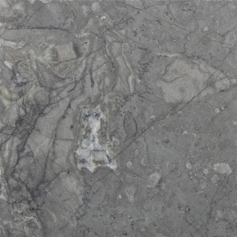 Best close-up image for Limestone - Marrakesh. The surface finish shown is honed. The dominant color shown is gray. Exhibits 