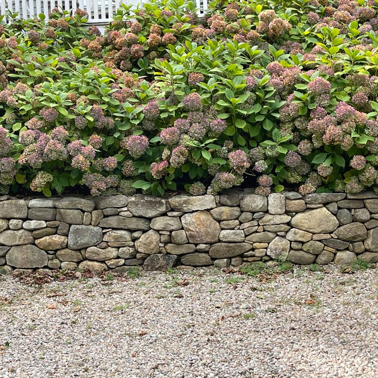 Application image for Fieldstone - New England Mix. The image shows this material being used in a landscape wallstone application. The surface finish shown is weathered. Dominant colors shown are brown, gray and tan; with green, gray and orange/rust secondaries. The color mix creates a warm feeling. Regular and random color patterns.