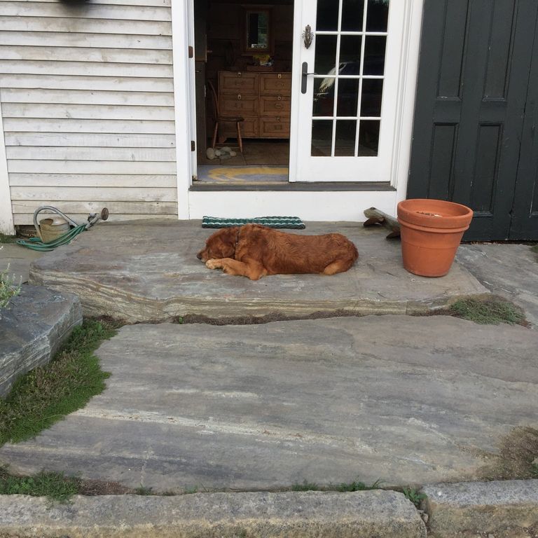 Application image for Mystic Mountain - Natural. The image shows this material being used for path pavers, patio pavers, landings and monolithic steps. The surface finish shown is natural cleft. The dominant color shown is gray. Streaked color pattern.
