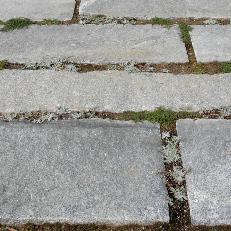 Close-up image for Reclaimed Granite Foundation Stone. The surface finishes shown are split-face and worn. The dominant color shown is gray; with a beige secondary. Regular, speckled and cloudy color patterns.
