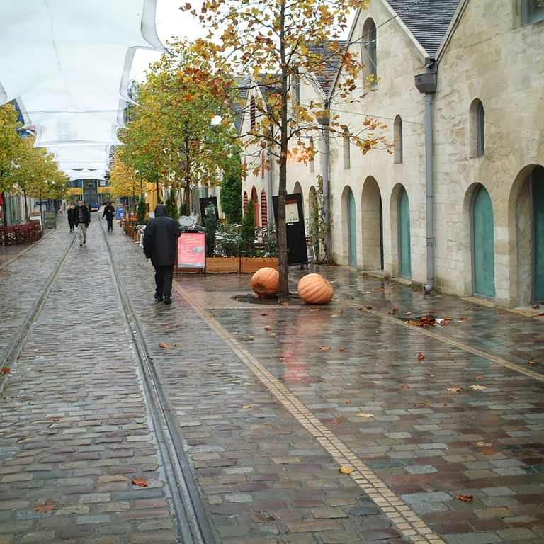 Application image for Granite - Reclaimed Swedish Cobblestones. The image shows this material being used in a path pavers application. The surface finish shown is sawn. The dominant color shown is gray; with beige, black, blue, brown, green, orange/rust, purple, white and tan secondaries. The color mix creates a warm feeling. Regular and speckled color patterns.