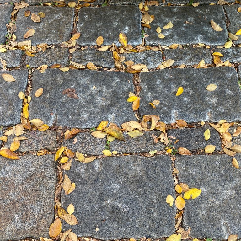 Best close-up image for Reclaimed New England Granite Cobblestones - Road Pavers. The image shows this material being used in a driveway pavers application. The surface finish shown is a combination of weathered and worn. The dominant color shown is gray; with brown, orange/rust and tan secondaries. The color mix creates a cool feeling. Regular, speckled, blotched and cloudy color patterns.
