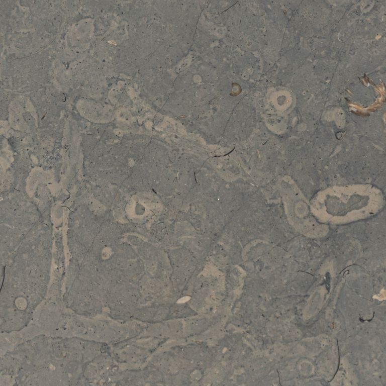 Color/Finish variation image for Sky Estrema Limestone. The surface finish shown is polished. Dominant colors shown are green and gray; with brown, purple and tan secondaries. Exhibits 