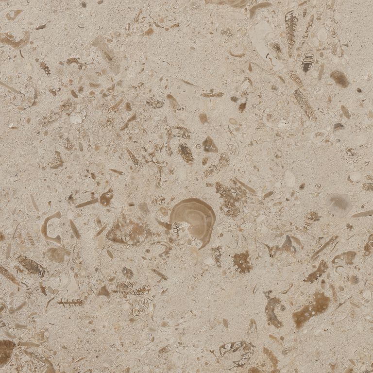 Portuguese Coralau Limestone