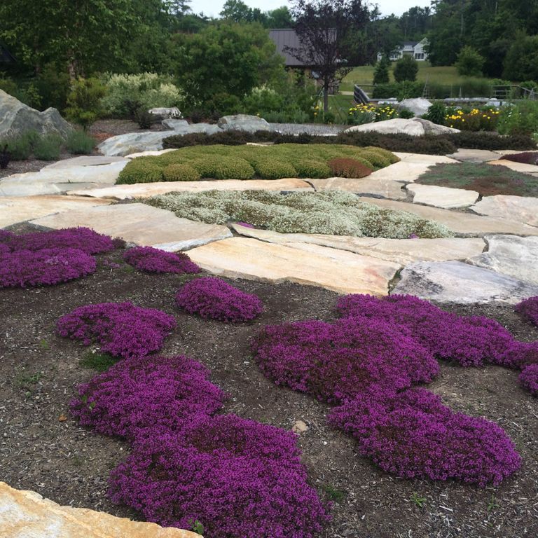Application image for Black Mountain Granite - Natural. The image shows this material being used in a path pavers application. The surface finish shown is natural. The dominant color shown is purple; with beige, black, brown, green, gray, orange/rust, tan and cream secondaries. The color mix creates a warm feeling. Regular color pattern.