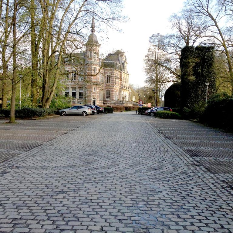 Application image for Reclaimed Belgian Bluestone Cobblestones. The image shows this material being used in a driveway pavers application. The surface finish shown is . The dominant color shown is gray. The color mix creates a warm feeling.