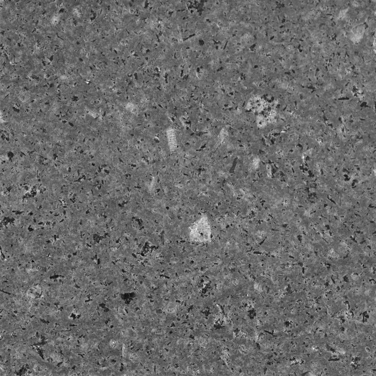 Close-up image for Basaltite. The surface finish shown is polished. The dominant color shown is gray. Exhibits 