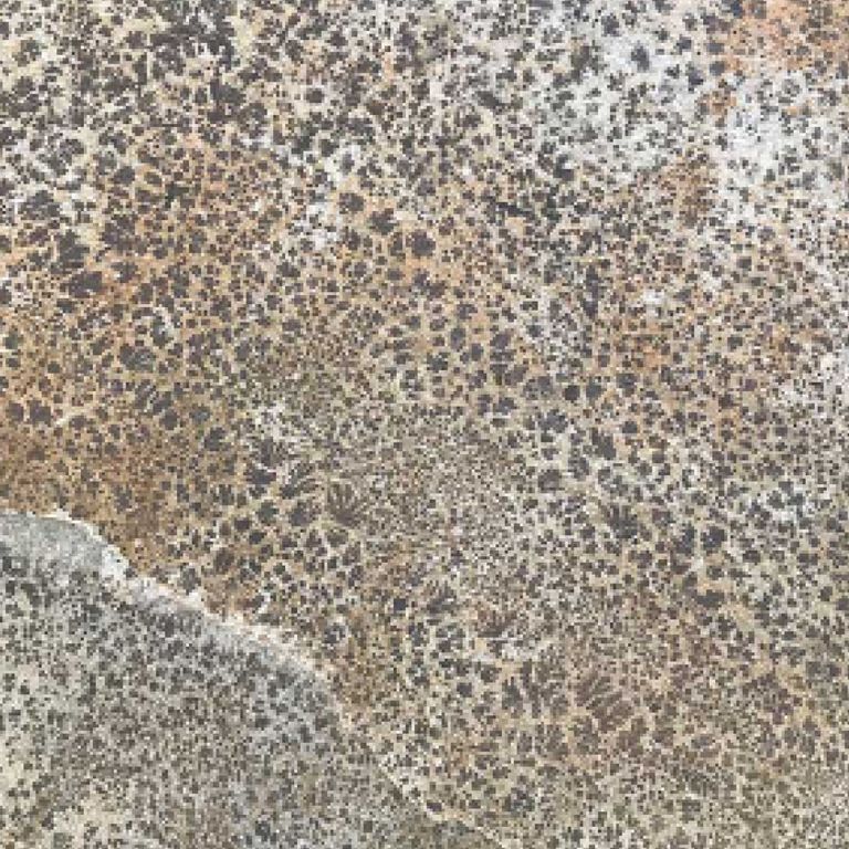 Color/Finish variation image for Greek Quartzite Slate - Seam Face. Dominant colors shown are gray and tan; with beige, brown, green, orange/rust, purple, white and cream secondaries. Exhibits 