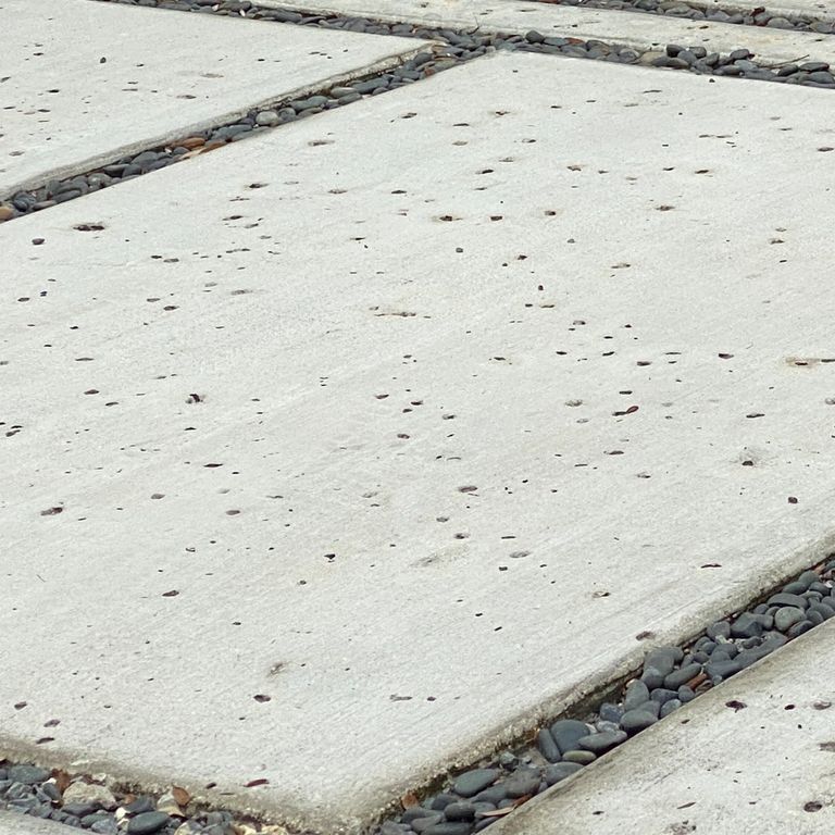Close-up image for White Coral Stone. The surface finish shown is honed. Dominant colors shown are gray and white; with beige and cream secondaries. Regular and coarse speckled color patterns.