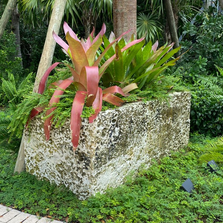 Application image for White Coral Stone. The image shows this material being used in a garden accents application. This is a building and landscape stone for indoor and outdoor commercial and residential applications. Suitable for general use, freeze-thaw conditions, low heat absorption surfaces, high traffic areas, low slipperiness surfaces and high heel compatibilty situations. Relatively moderate in price.