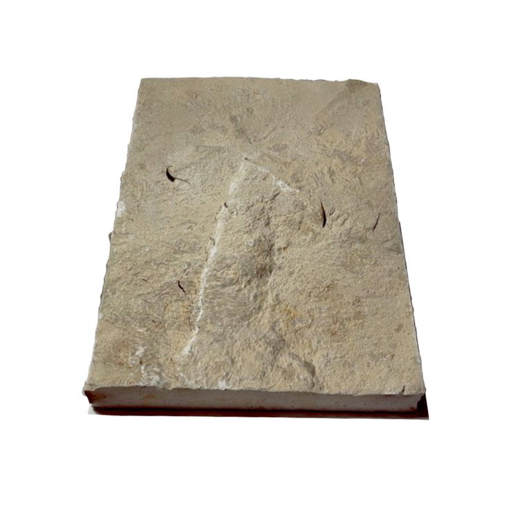 Limestone - Bavarian Beige