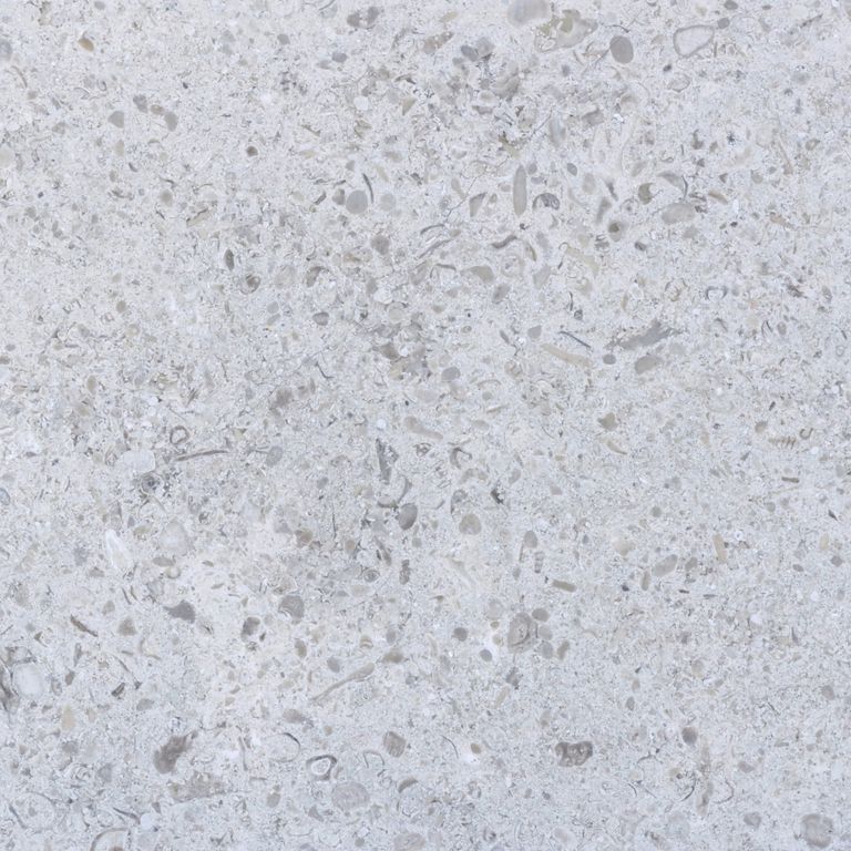 Feature image for Ocean Blue Limestone. Dominant colors shown are gray and white; with beige and blue secondaries. The color mix creates a cool feeling. Speckled, coarse speckled, blotched and cloudy color patterns. Contains mineral inclusions.