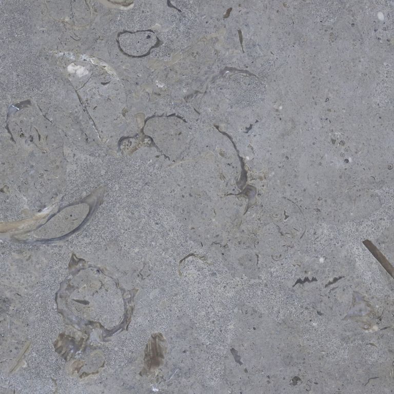 Feature image for Blue Harbor Limestone. The dominant color shown is gray; with blue, brown, green, purple and tan secondaries. Exhibits 