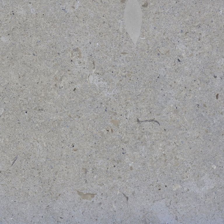 White Coral Limestone | Stone Curators