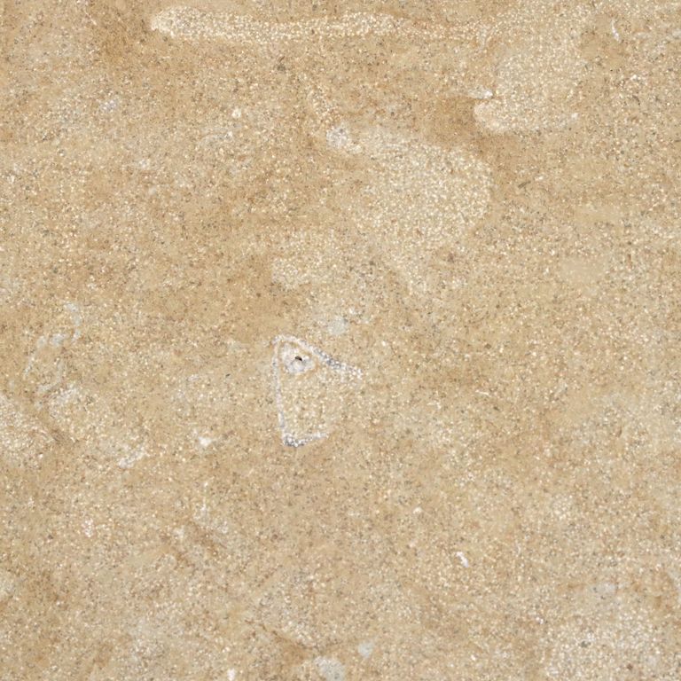 Color/Finish variation image for Cenia Beige Limestone. The surface finishes shown are brushed and fine bush hammered. Dominant colors shown are beige and tan; with brown, orange/rust and cream secondaries. Exhibits 