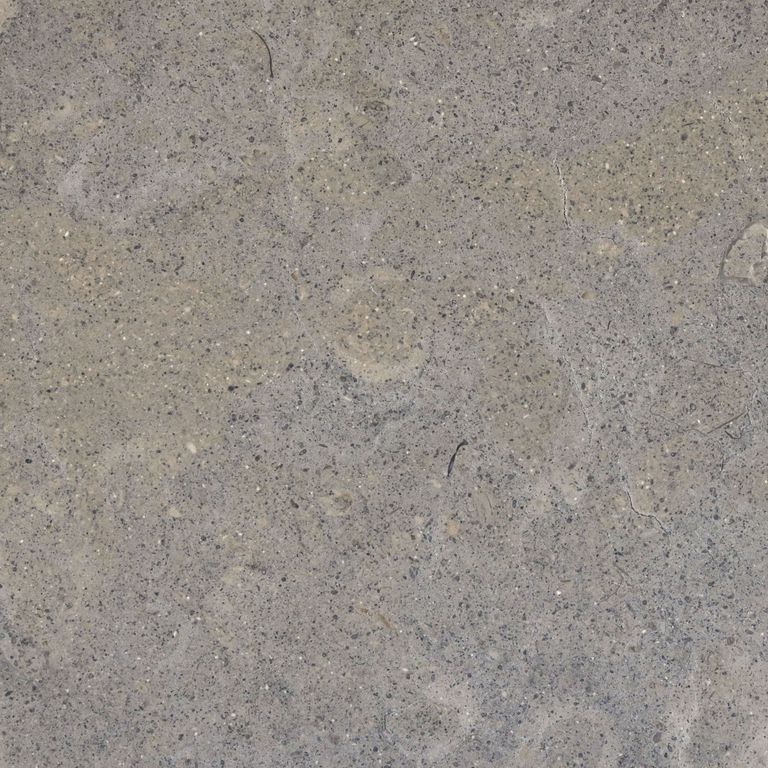 Color/Finish variation image for Blue Noble Limestone. The surface finish shown is brushed. The dominant color shown is gray; with beige, brown, purple and tan secondaries. Exhibits 