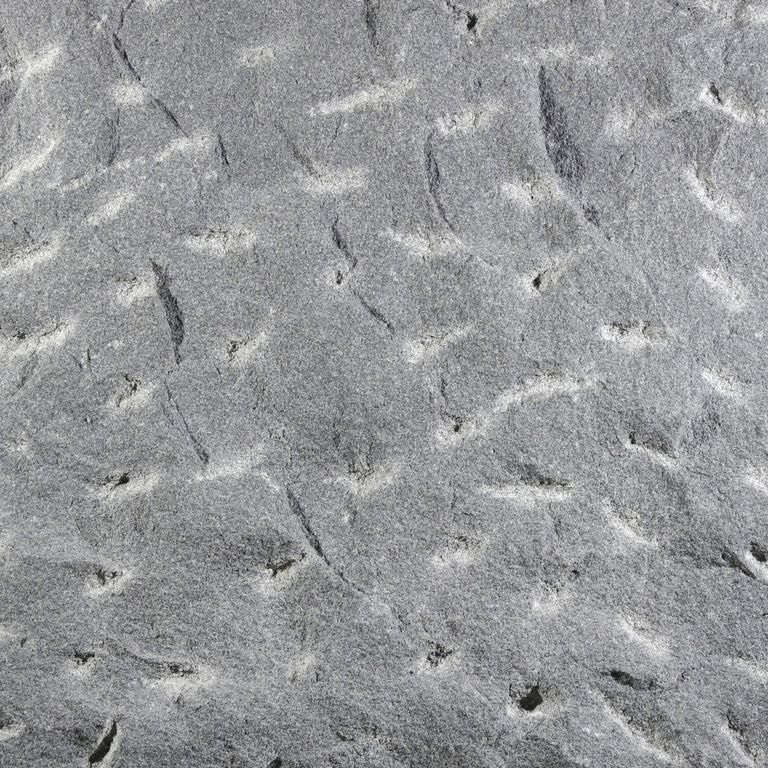 Color/Finish variation image for Sugus Bluestone. The surface finish shown is pineapple. The dominant color shown is gray. Exhibits 