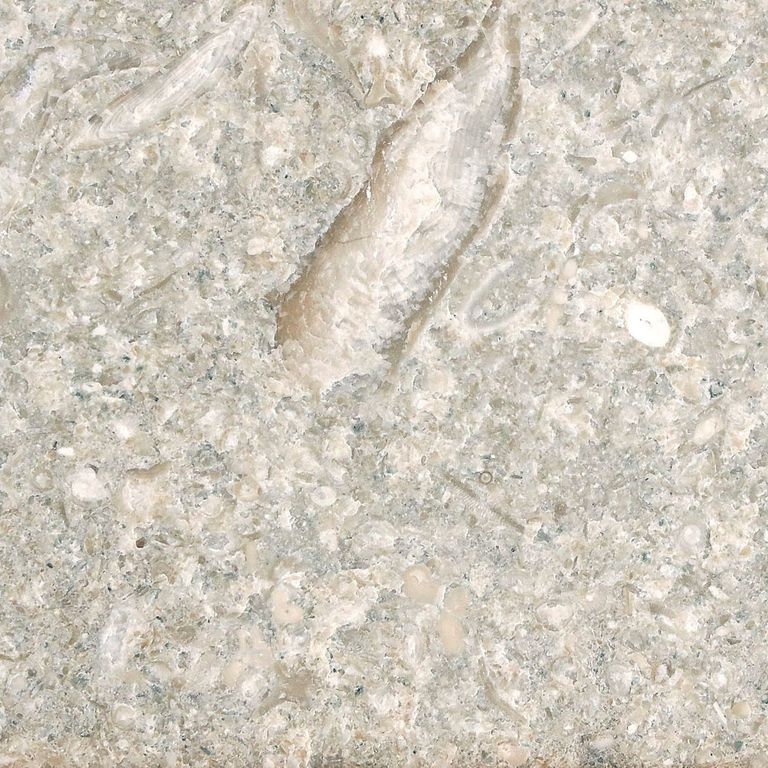 Color/Finish variation image for Veneto Olivo Limestone - Pavers. The surface finish shown is . Dominant colors shown are gray and tan. The color mix creates a warm feeling. Speckled and coarse speckled color patterns.