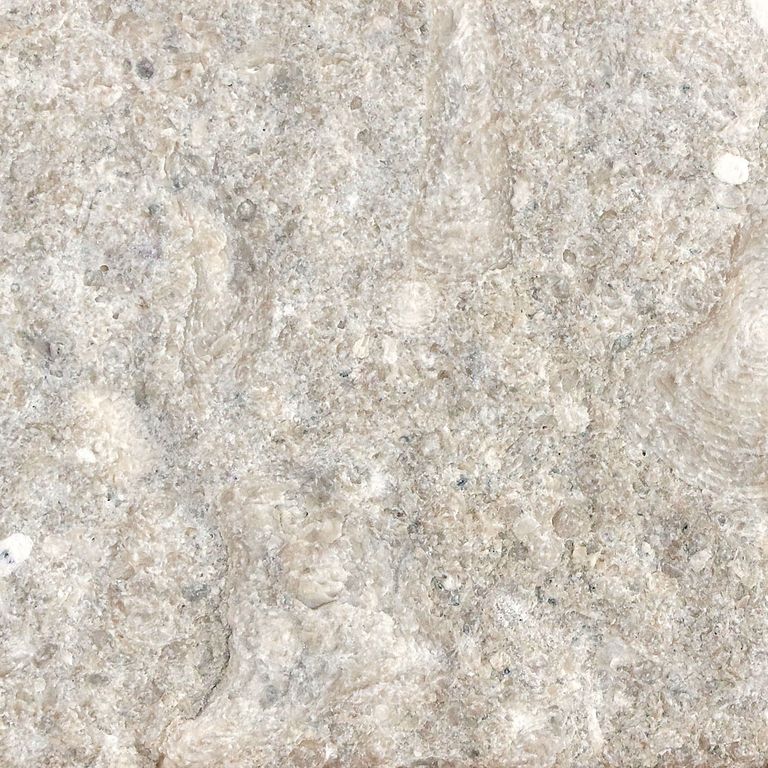 Color/Finish variation image for Veneto Olivo Limestone - Pavers. The surface finish shown is . Dominant colors shown are beige, gray and tan. The color mix creates a warm feeling. Speckled, blotched and coarse speckled color patterns.