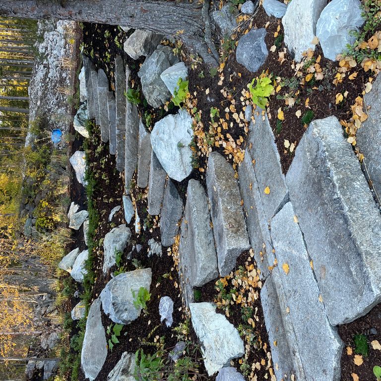 Feature image for Reclaimed First Generation Curbstone - Split Bottom Riser Steps. The image shows this product being used in a monolithic steps application. The surface finish shown is . The dominant color shown is gray; with beige, brown, orange/rust, purple, white, tan and cream secondaries. Speckled, blotched and random color patterns.
