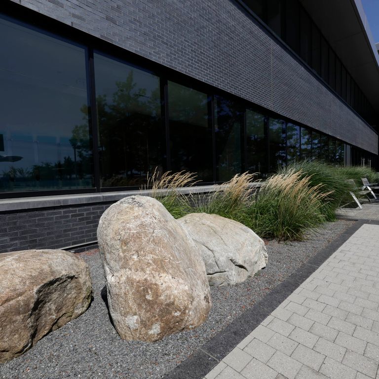 Application image for New England Fieldstone - Boulders. The image shows this product being used in a landscape boulders & ledge application. The surface finish shown is weathered. The dominant color shown is gray. The color mix creates a cool feeling.