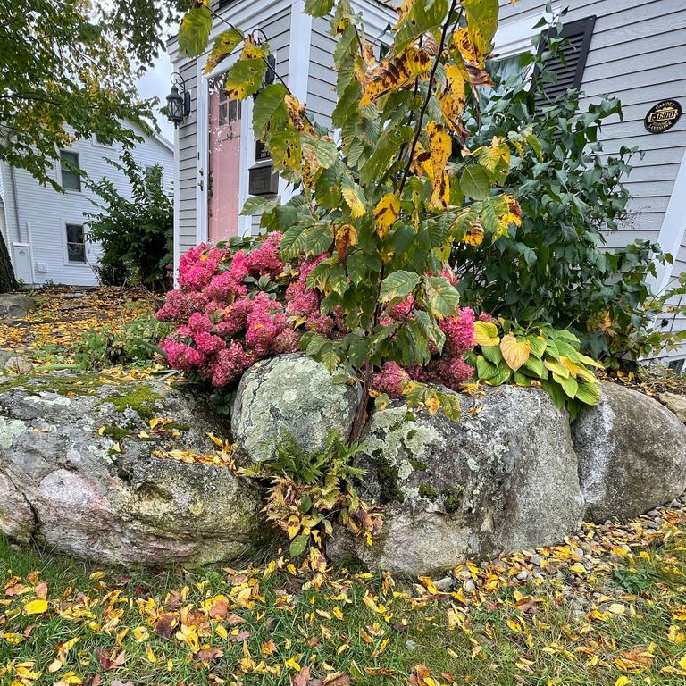 Application image for New England Fieldstone - Boulders. The image shows this product being used in a landscape boulders & ledge application. The surface finish shown is weathered. The dominant color shown is gray; with beige, brown, white and tan secondaries. The color mix creates a warm feeling. Regular, blotched and random color patterns.