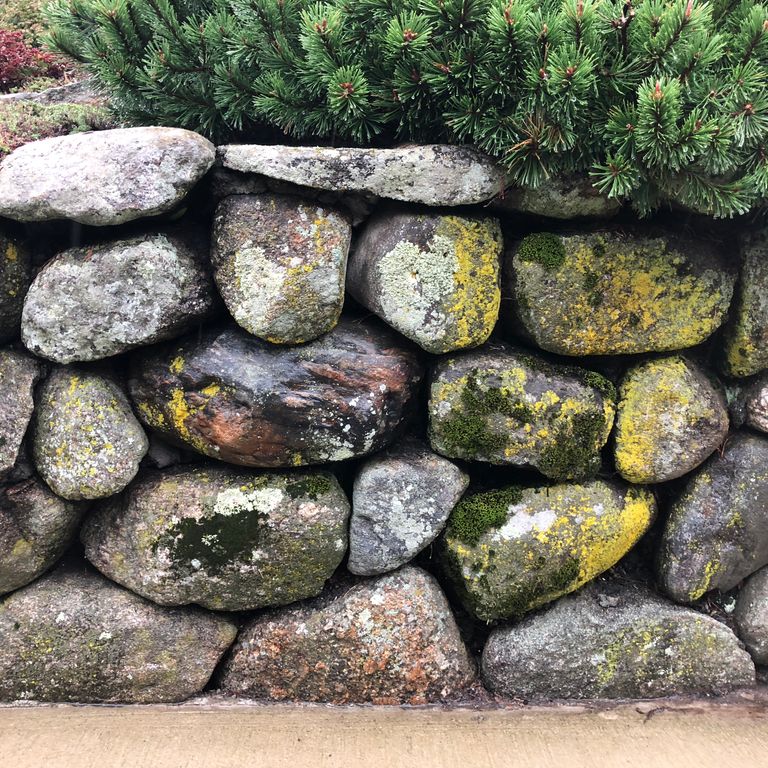 The image shows this product being used in a landscape wallstone application.