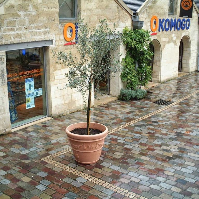 Reclaimed Swedish Granite Cobblestones - Flat Surface