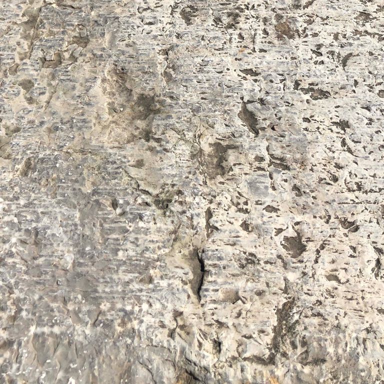 Color/Finish variation image for Reclaimed Highland Limestone Plank Pavers. The surface finishes shown are weathered and worn. Dominant colors shown are beige and gray; with brown, white, tan and cream secondaries. Exhibits 