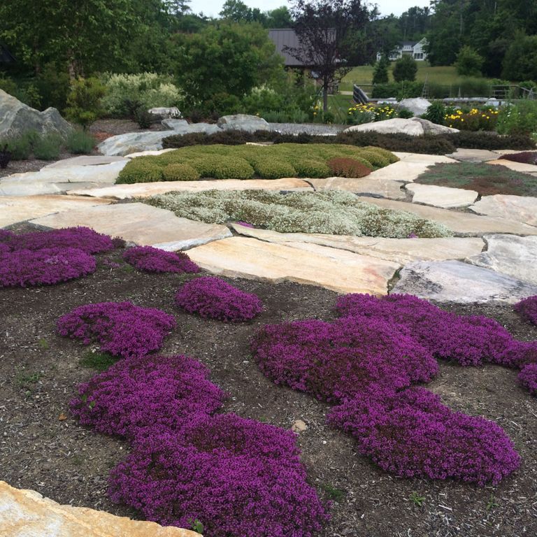 The image shows this product being used for Granite - Black Mountain - Oversized Irregular Pavers - Natural top.