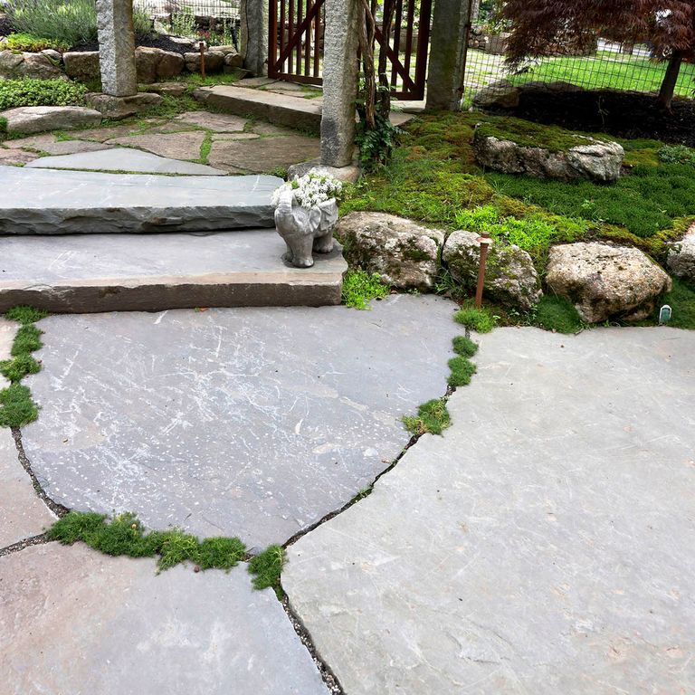 Full Color Bluestone - Natural Cleft Irregular Jumbo Pavers