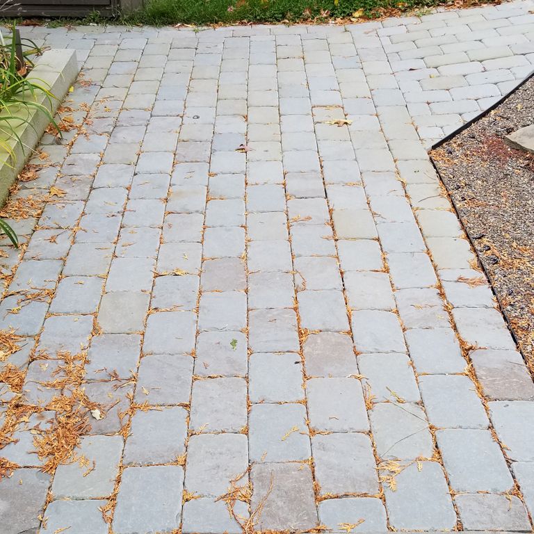 Application image for Bluestone - Cobblestones Pavers - Full Color. The image shows this product being used in a path pavers application.