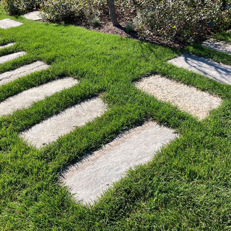Reclaimed First Generation Curbstone - Steppers