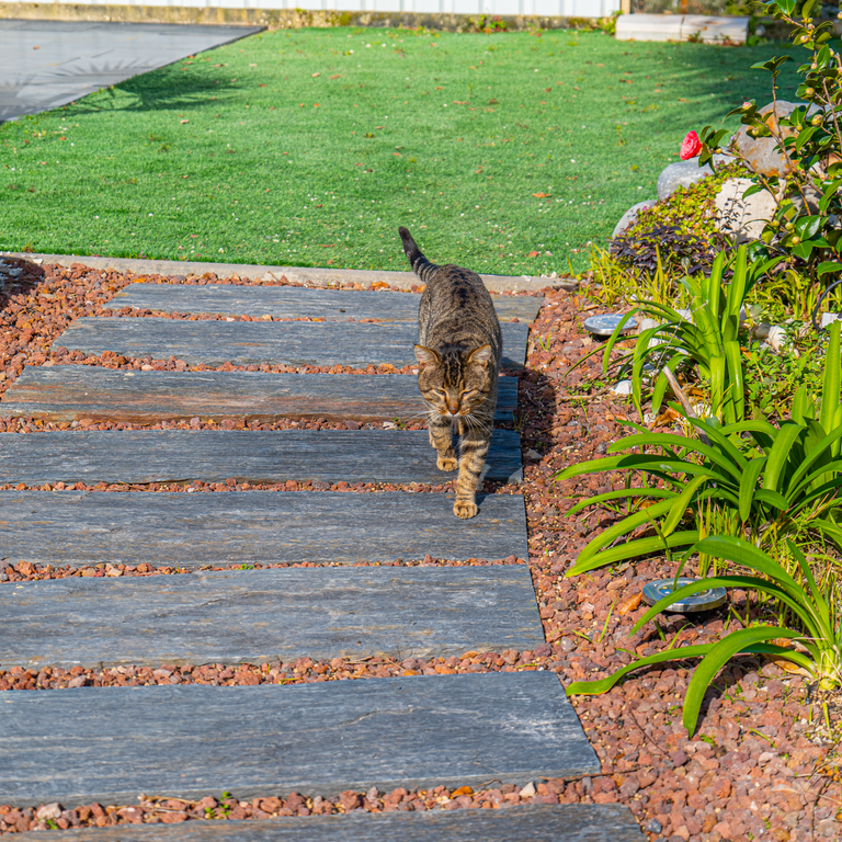 Black Schist - Pavers