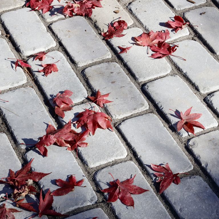 Blue/Gray Bluestone - Cobblestone Pavers