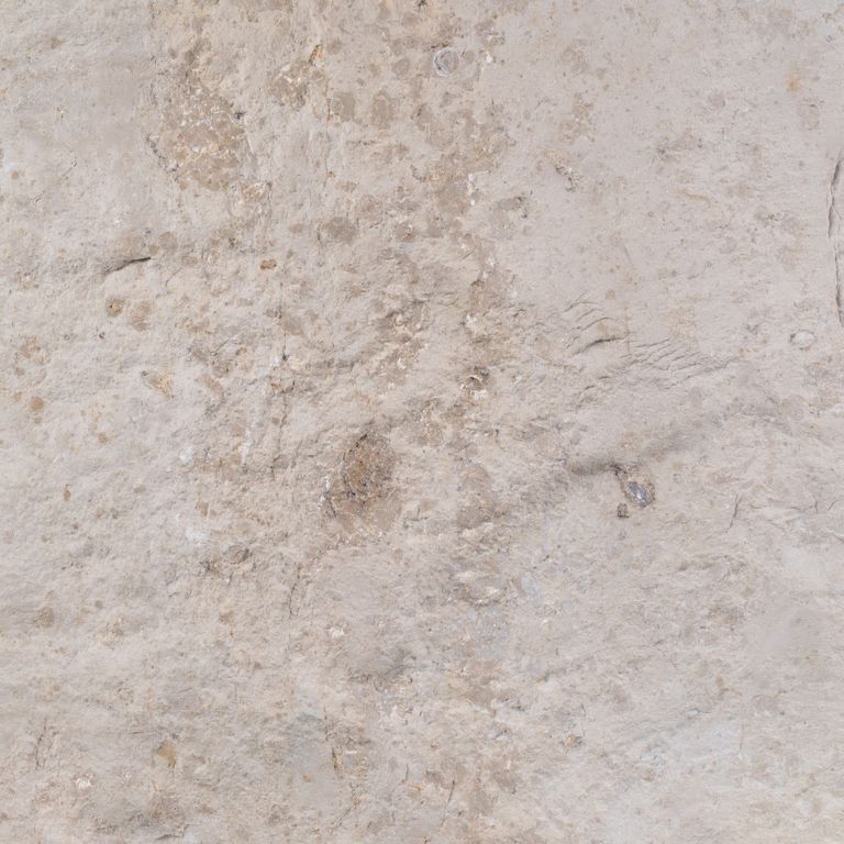 Color/Finish variation image for Bavarian Limestone Gala - Beige - Interior Floor. The surface finish shown is split-face. Dominant colors shown are beige and gray; with pink, purple, white and tan secondaries. Exhibits 
