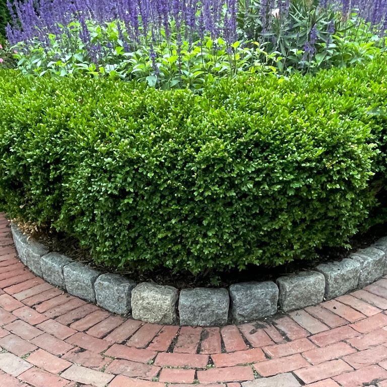 Application image for Gray Granite Cobblestone - Rectangles. The image shows this product being used in a landscape curbing & edging application. The surface finish shown is tumbled. The dominant color shown is gray.