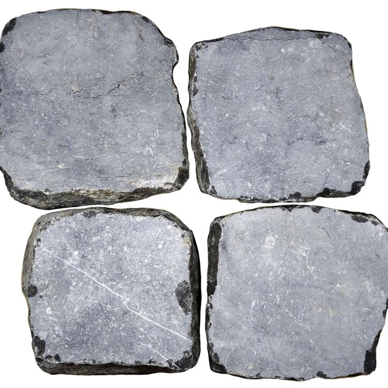 Reclaimed Belgian Bluestone Cobblestones - Flat Surface