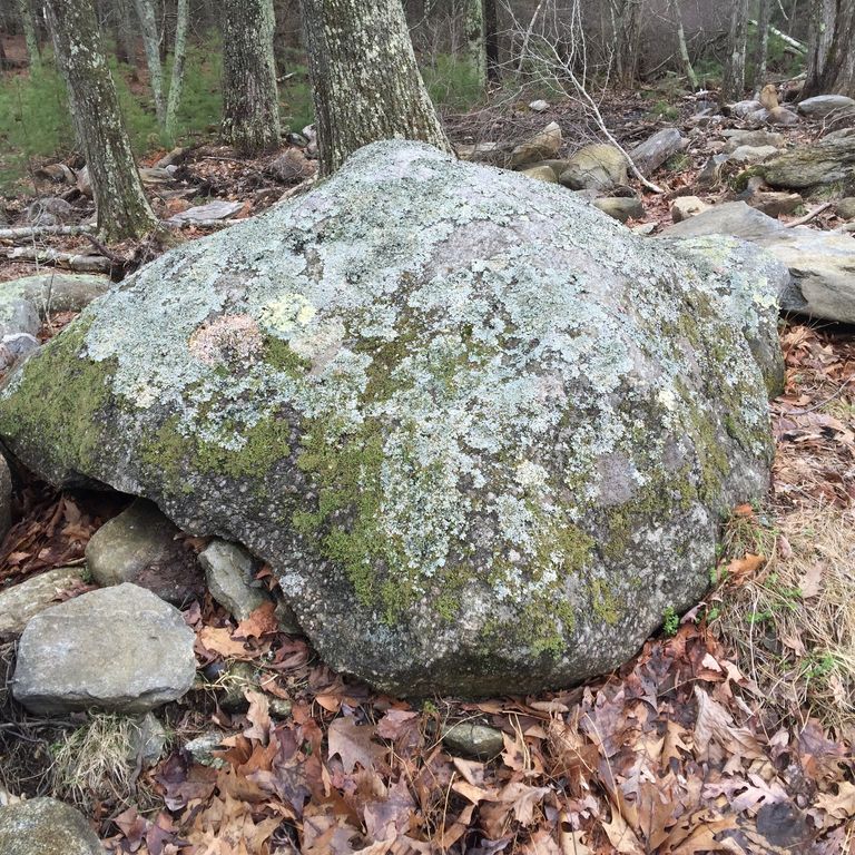 Application image for New England Fieldstone Boulders & Ledgestone - Jumbo Boulders. The surface finish shown is weathered. The dominant color shown is gray. The color mix creates a warm feeling.