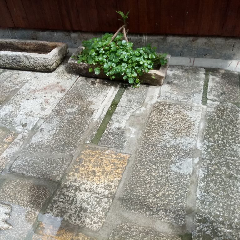 The image shows this product being used in a patio pavers application.