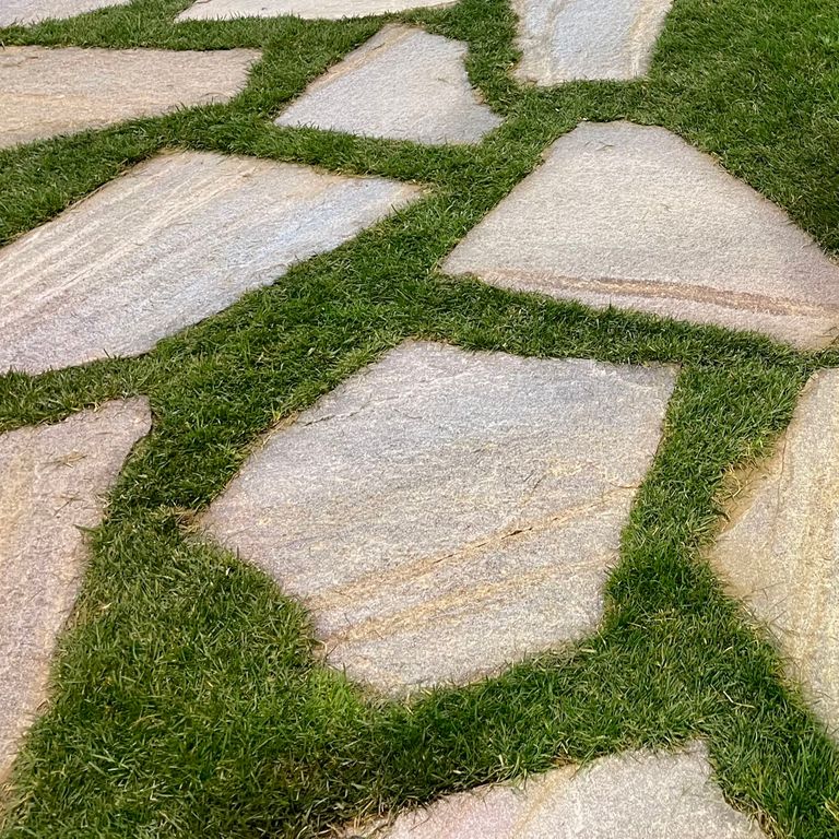 Pietra Italia Full Color Gneiss - Irregular Pavers