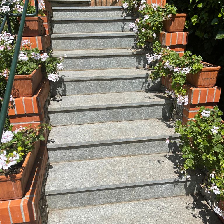 Pietra Italia Gneiss - Worked Surface Treads