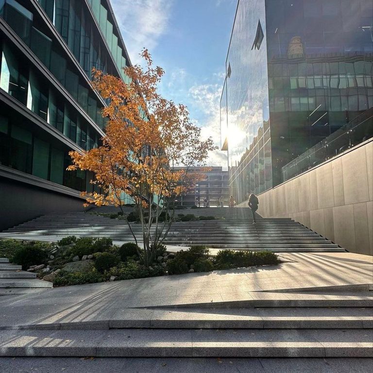Application image for Granite - White House - Pavers. The image shows this product being used for landings, treads and public area. Dominant colors shown are gray and white.